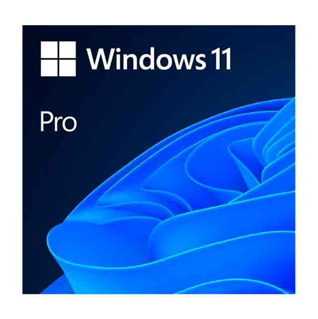 Microsoft Windows 11 Pro