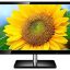 Lenovo ThinkVision LI2054 19.5 inch Monitor 65BAACC1UK